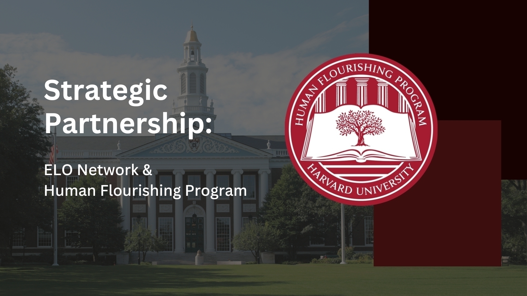 HFH header strategic